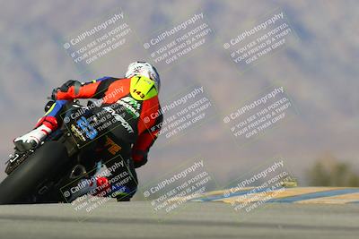 media/Jan-13-2024-SoCal Trackdays (Sat) [[9c032fe5aa]]/Turn 9 Backside (110pm)/